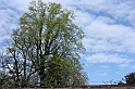 PienaPoMarzo2009_65