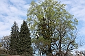 PienaPoMarzo2009_68