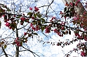 PienaPoMarzo2009_78