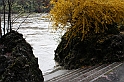 PienaPoMarzo2009_79