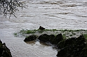 PienaPoMarzo2009_81
