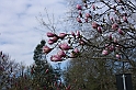 PienaPoMarzo2009_82