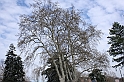 PienaPoMarzo2009_90