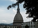 MoleAntonelliana02