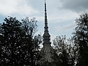 MoleAntonelliana06