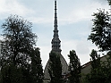 MoleAntonelliana09