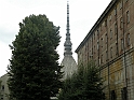 MoleAntonelliana10