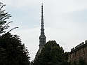 MoleAntonelliana13