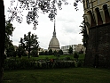 MoleAntonelliana14