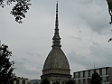 MoleAntonelliana15