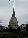 MoleAntonelliana16