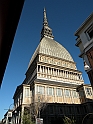 MoleAntonelliana17