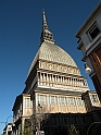 MoleAntonelliana19