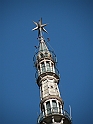 MoleAntonelliana23