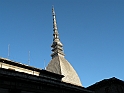 MoleAntonelliana24