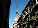 MoleAntonelliana25