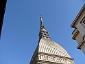 MoleAntonelliana27