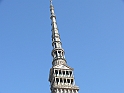 MoleAntonelliana28