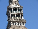 MoleAntonelliana29