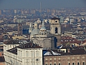 MoleAntonelliana41