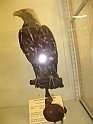 ScienzeNaturali_069