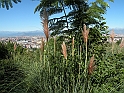 ParcoEuropa_019
