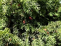 ParcoEuropa_021