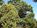 ParcoEuropa_065