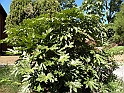 ParcoEuropa_066