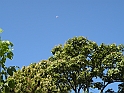 ParcoEuropa_067