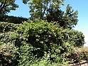 ParcoEuropa_069