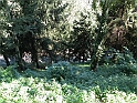 ParcoEuropa_074