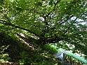 ParcoEuropa_080