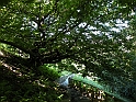 ParcoEuropa_081