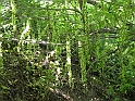 ParcoEuropa_082