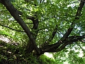 ParcoEuropa_085