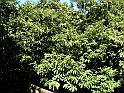 ParcoEuropa_090