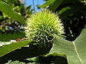 ParcoEuropa_094