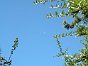ParcoEuropa_097