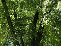 ParcoEuropa_099
