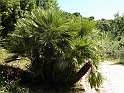 ParcoEuropa_105