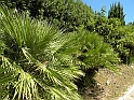 ParcoEuropa_107