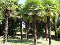 ParcoEuropa_108