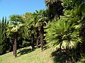 ParcoEuropa_109