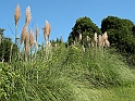 ParcoEuropa_116
