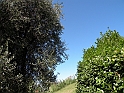 ParcoEuropa_117