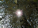 ParcoEuropa_118