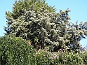 ParcoEuropa_119