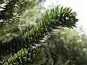 ParcoEuropa_120