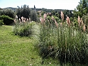 ParcoEuropa_122